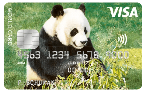 Foto van de ICS Visa World Card Panda